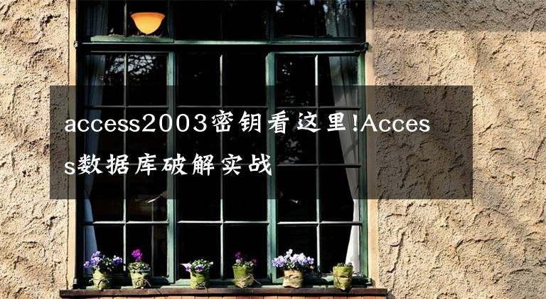 access2003密钥看这里!Access数据库破解实战