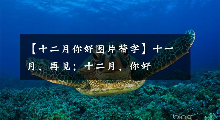 【十二月你好图片带字】十一月，再见；十二月，你好