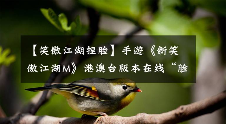 【笑傲江湖捏脸】手游《新笑傲江湖M》港澳台版本在线“脸部掐架系统”人物形象塑造