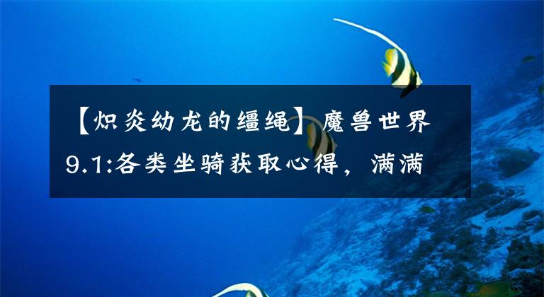 【炽炎幼龙的缰绳】魔兽世界9.1:各类坐骑获取心得，满满的干货带点黑科技