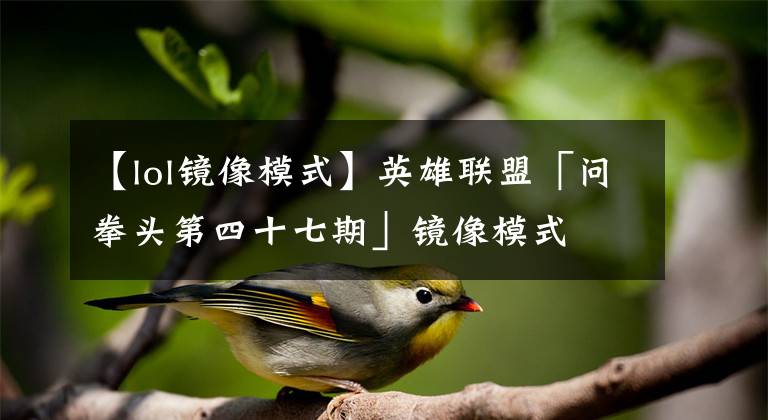 【lol镜像模式】英雄联盟「问拳头第四十七期」镜像模式