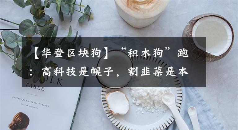 【华登区块狗】“积木狗”跑：高科技是幌子，割韭菜是本质