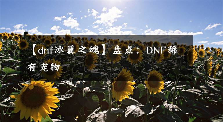 【dnf冰翼之魂】盘点:DNF稀有宠物