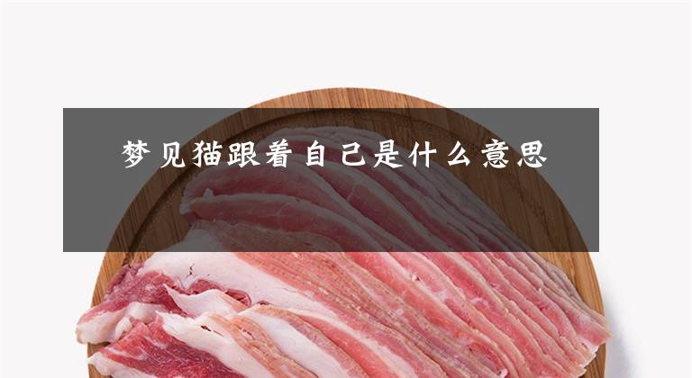 梦见猫跟着自己是什么意思