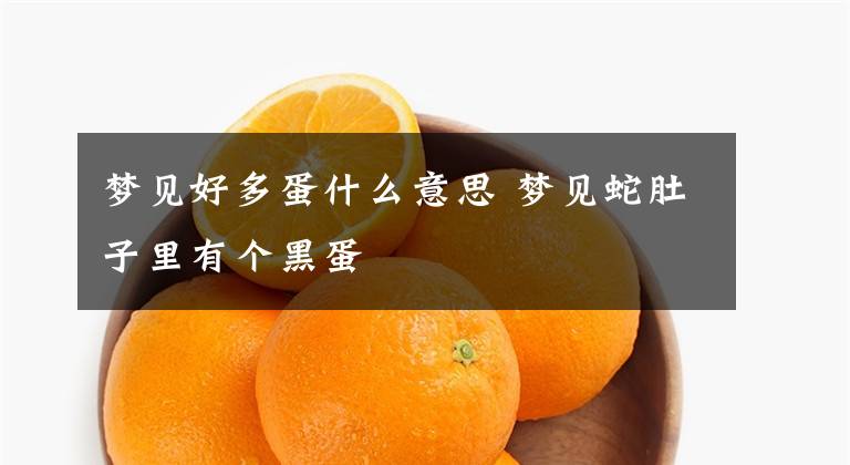 梦见好多蛋什么意思 梦见蛇肚子里有个黑蛋