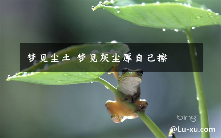 梦见尘土 梦见灰尘厚自己擦