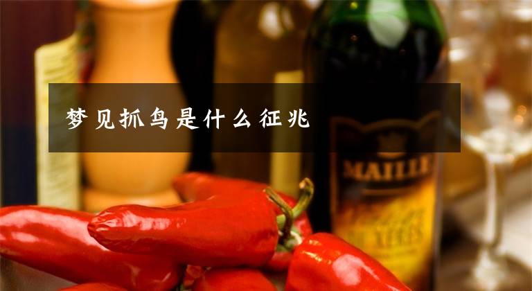 梦见抓鸟是什么征兆