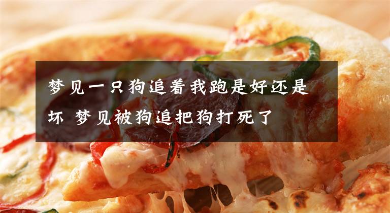 梦见一只狗追着我跑是好还是坏 梦见被狗追把狗打死了
