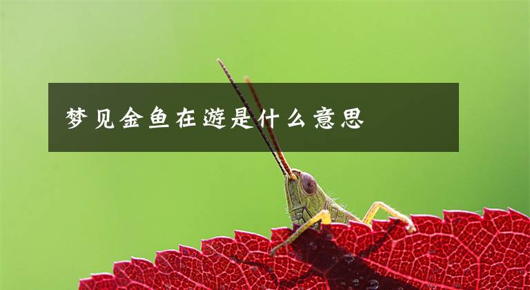 梦见金鱼在游是什么意思