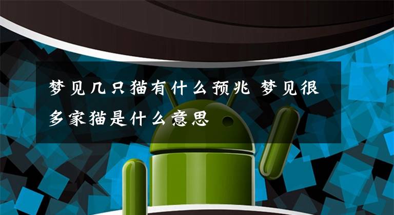梦见几只猫有什么预兆 梦见很多家猫是什么意思