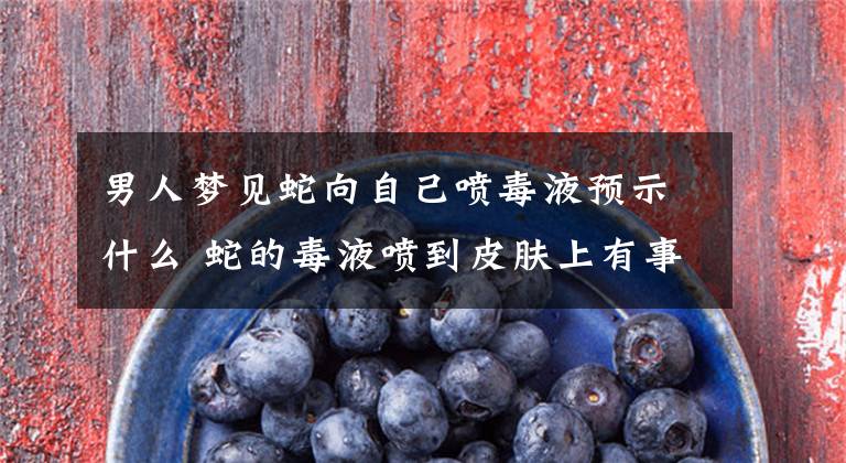 男人梦见蛇向自己喷毒液预示什么 蛇的毒液喷到皮肤上有事么