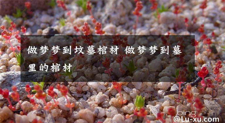 做梦梦到坟墓棺材 做梦梦到墓里的棺材