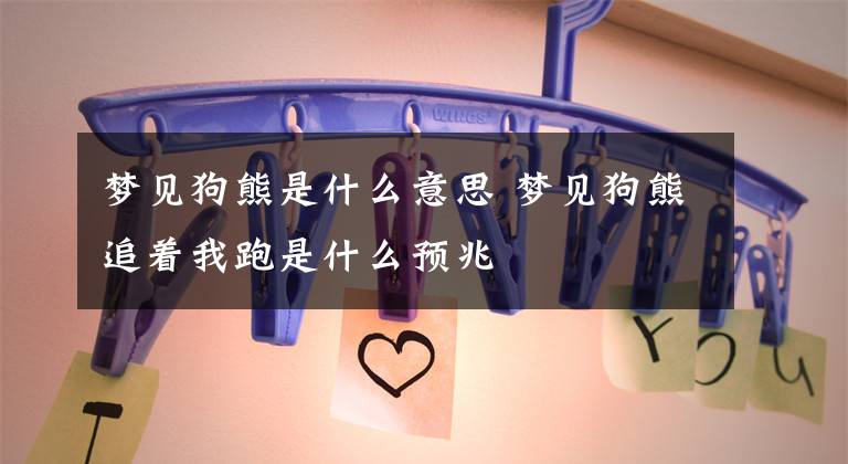 梦见狗熊是什么意思 梦见狗熊追着我跑是什么预兆