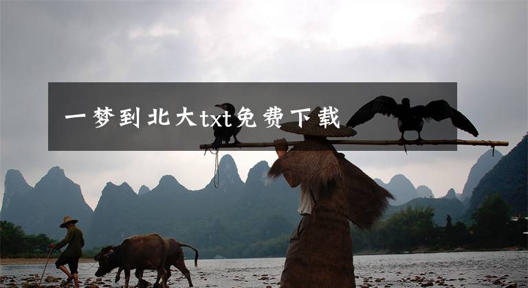 一梦到北大txt免费下载