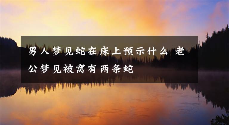 男人梦见蛇在床上预示什么 老公梦见被窝有两条蛇