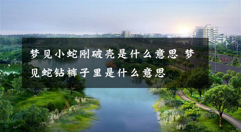 梦见小蛇刚破壳是什么意思 梦见蛇钻裤子里是什么意思