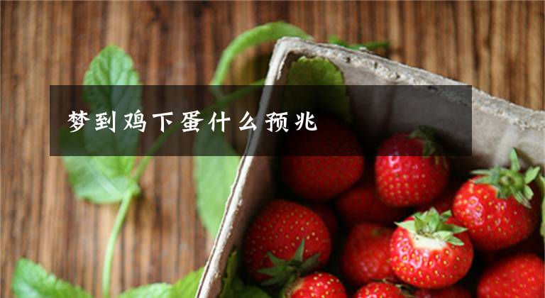 梦到鸡下蛋什么预兆