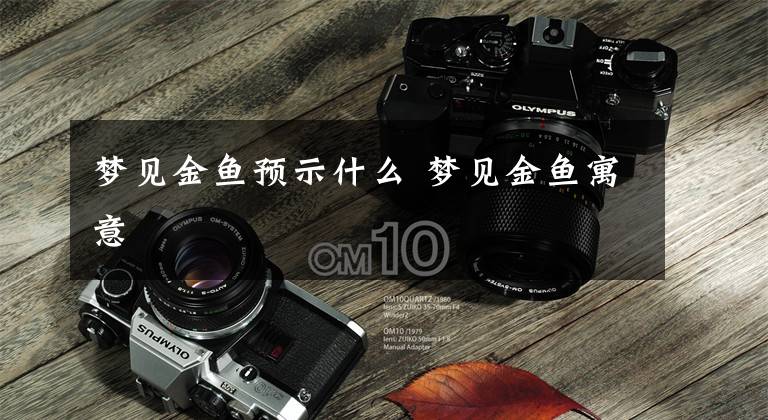 梦见金鱼预示什么 梦见金鱼寓意