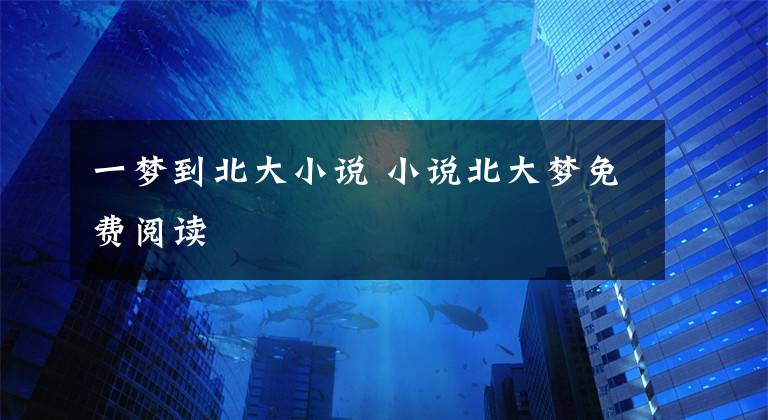 一梦到北大小说 小说北大梦免费阅读