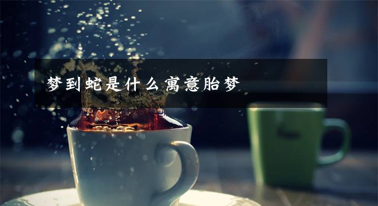 梦到蛇是什么寓意胎梦