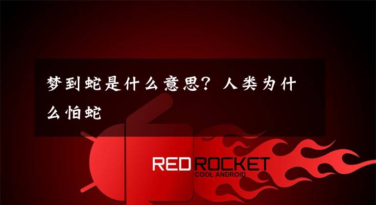 梦到蛇是什么意思？人类为什么怕蛇