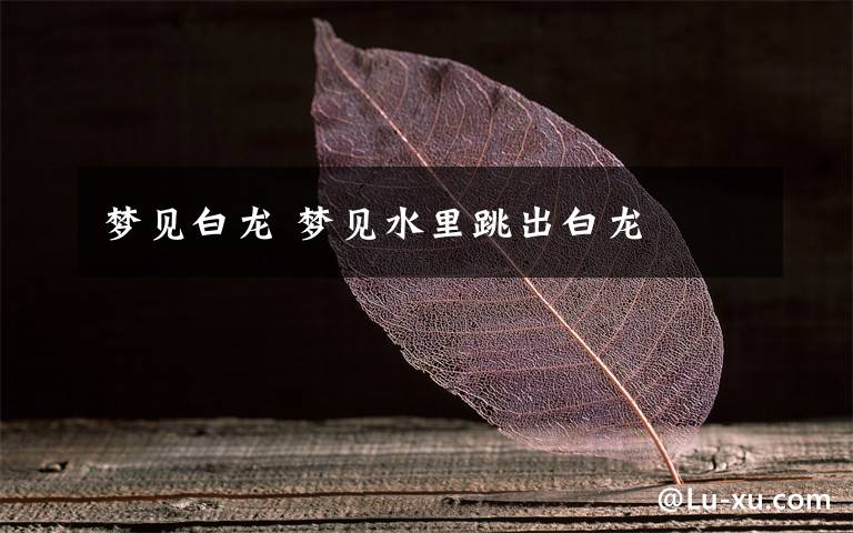 梦见白龙 梦见水里跳出白龙