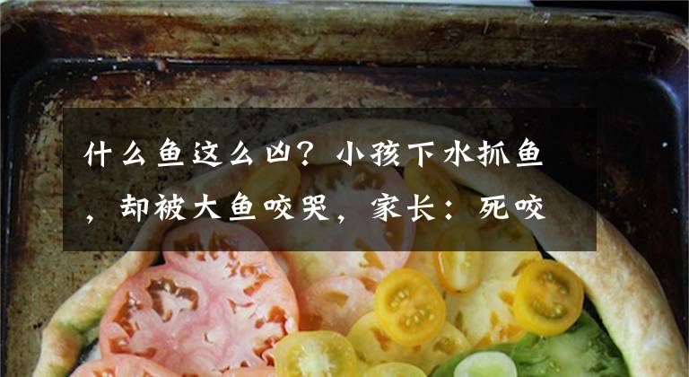 什么鱼这么凶?小孩下水抓鱼,却被大鱼咬哭,家长:死咬不放