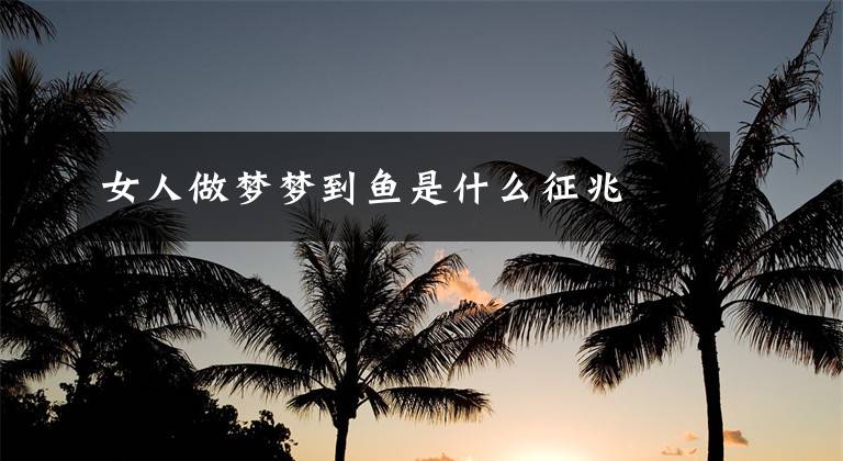 女人做梦梦到鱼是什么征兆