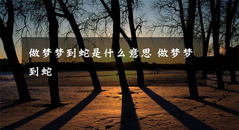 做梦梦到蛇是什么意思 做梦梦到蛇