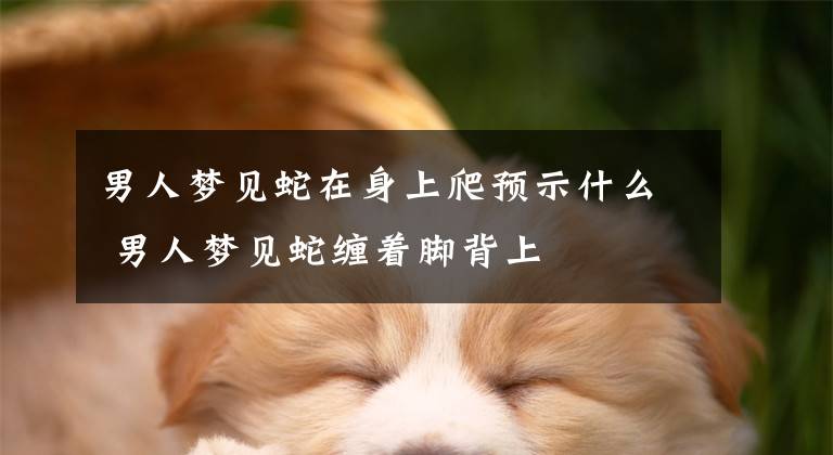 男人梦见蛇在身上爬预示什么 男人梦见蛇缠着脚背上