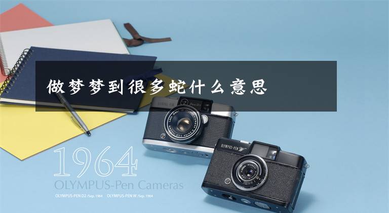 做梦梦到很多蛇什么意思