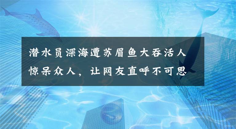 潜水员深海遭苏眉鱼大吞活人惊呆众人,让网友直呼不可思议