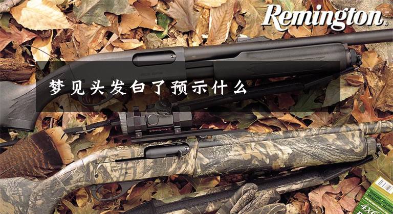 梦见头发白了预示什么