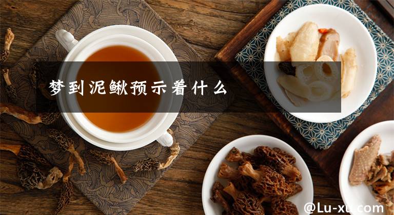 梦到泥鳅预示着什么