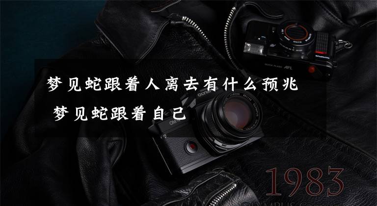 梦见蛇跟着人离去有什么预兆 梦见蛇跟着自己