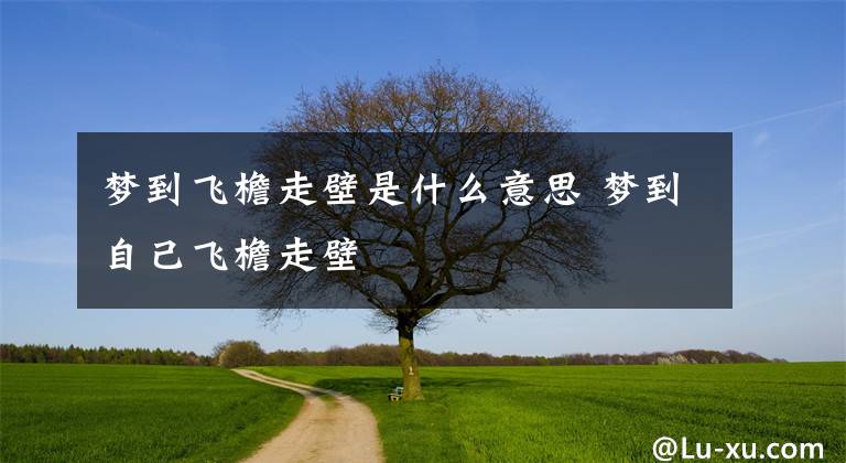 梦到飞檐走壁是什么意思 梦到自己飞檐走壁