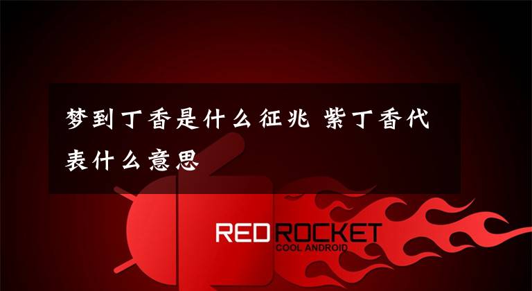 梦到丁香是什么征兆 紫丁香代表什么意思