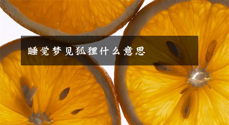 睡觉梦见狐狸什么意思