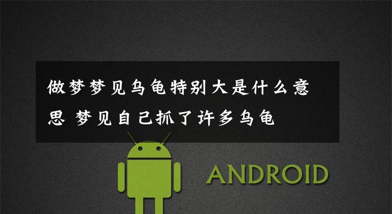 做梦梦见乌龟特别大是什么意思 梦见自己抓了许多乌龟