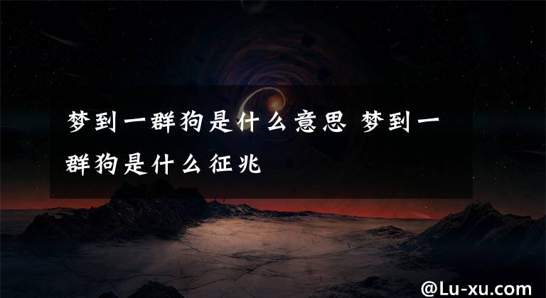 梦到一群狗是什么意思 梦到一群狗是什么征兆