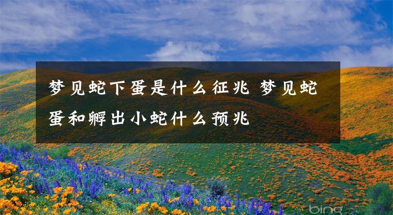 梦见蛇下蛋是什么征兆 梦见蛇蛋和孵出小蛇什么预兆