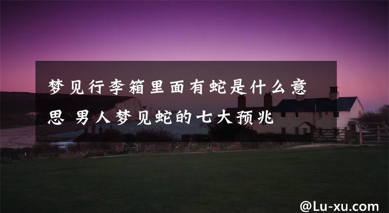 梦见行李箱里面有蛇是什么意思 男人梦见蛇的七大预兆