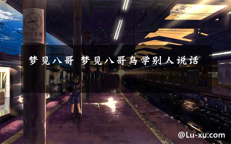 梦见八哥 梦见八哥鸟学别人说话