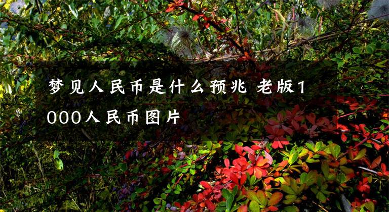 梦见人民币是什么预兆 老版1000人民币图片