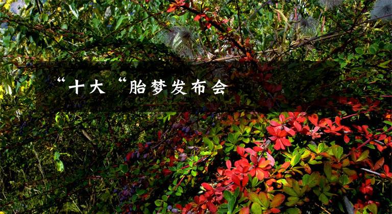 “十大“胎梦发布会