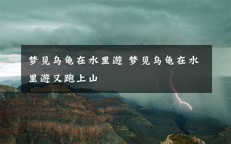 梦见乌龟在水里游 梦见乌龟在水里游又跑上山