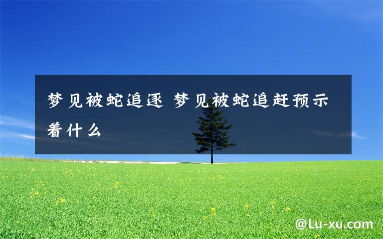 梦见被蛇追逐 梦见被蛇追赶预示着什么