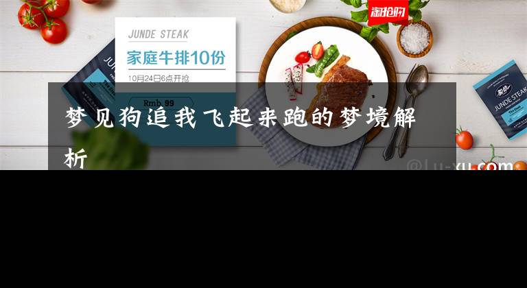 梦见狗追我飞起来跑的梦境解析