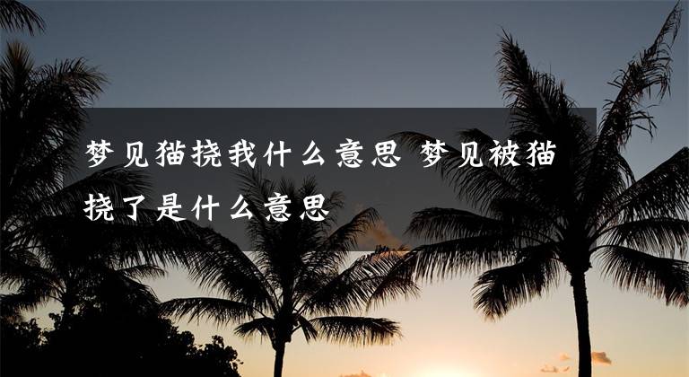 梦见猫挠我什么意思 梦见被猫挠了是什么意思