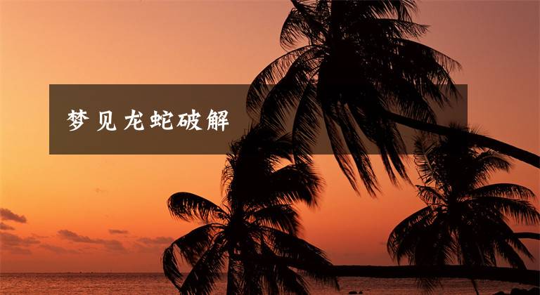 梦见龙蛇破解